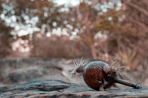 Plant Medicine Journeys Beyond Ayahuasca: Iboga, Peyote, San Pedro and Beyond